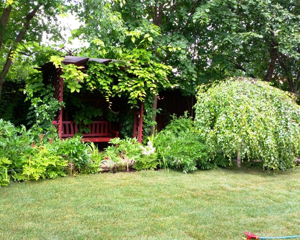 Проект Горки 2