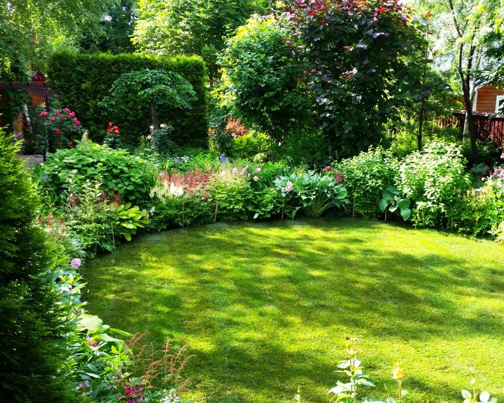 Проект Горки 2