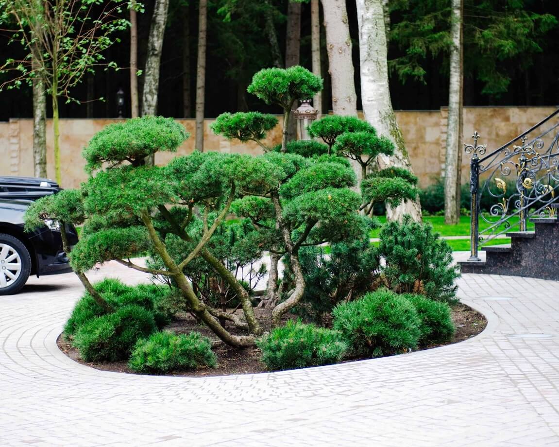 Проект Шервуд